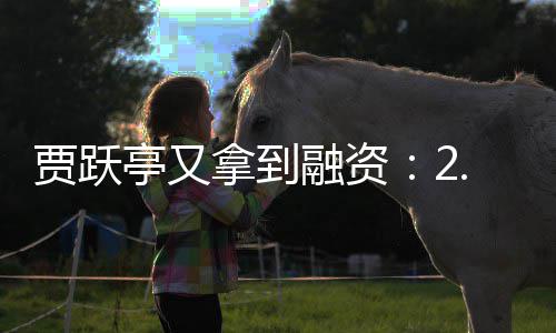 融资亭又拿到账 再等回国还要贾跃5亿元到等